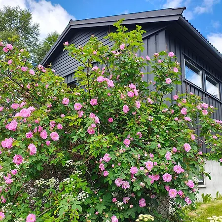 Three Bedroom With An Amazing Mountain View! Vakantiehuis Oppdal